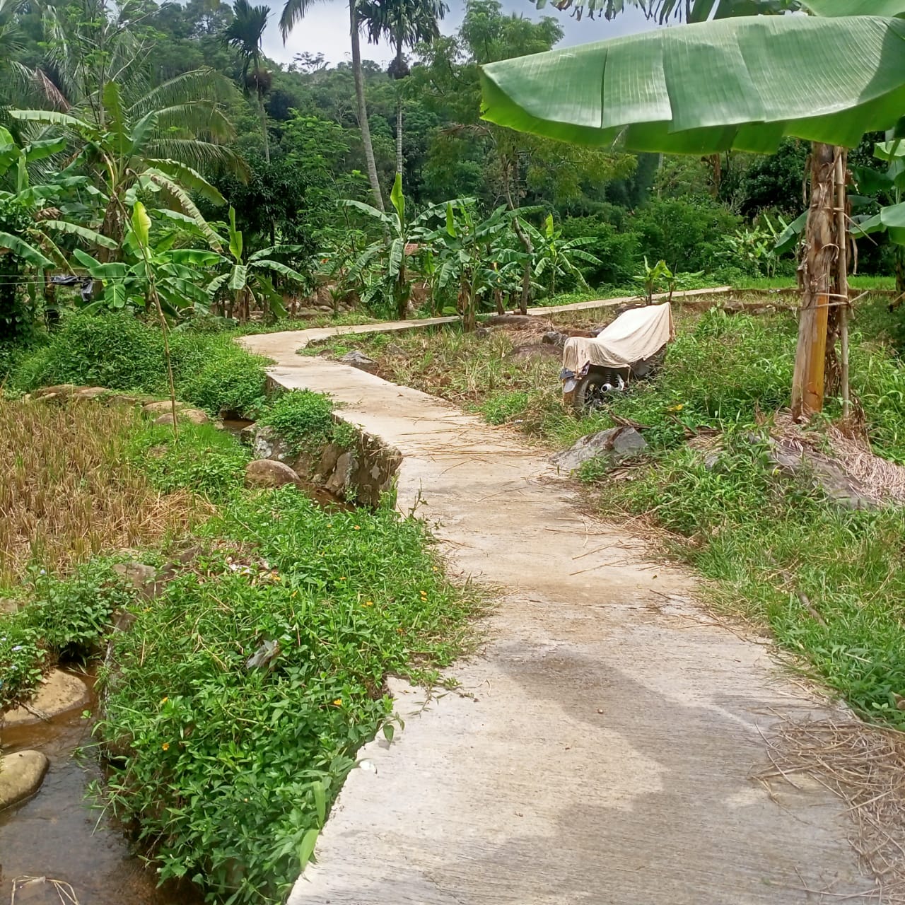 Dimnta Pihak APH Segera Usut Tuntas Kades Raharja, Dana Desa Tahun 2023.