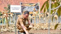 HARI DESA NASIONAL Bey Machmudin Dorong Desa Jadi Sumber Utama Ketahanan Pangan