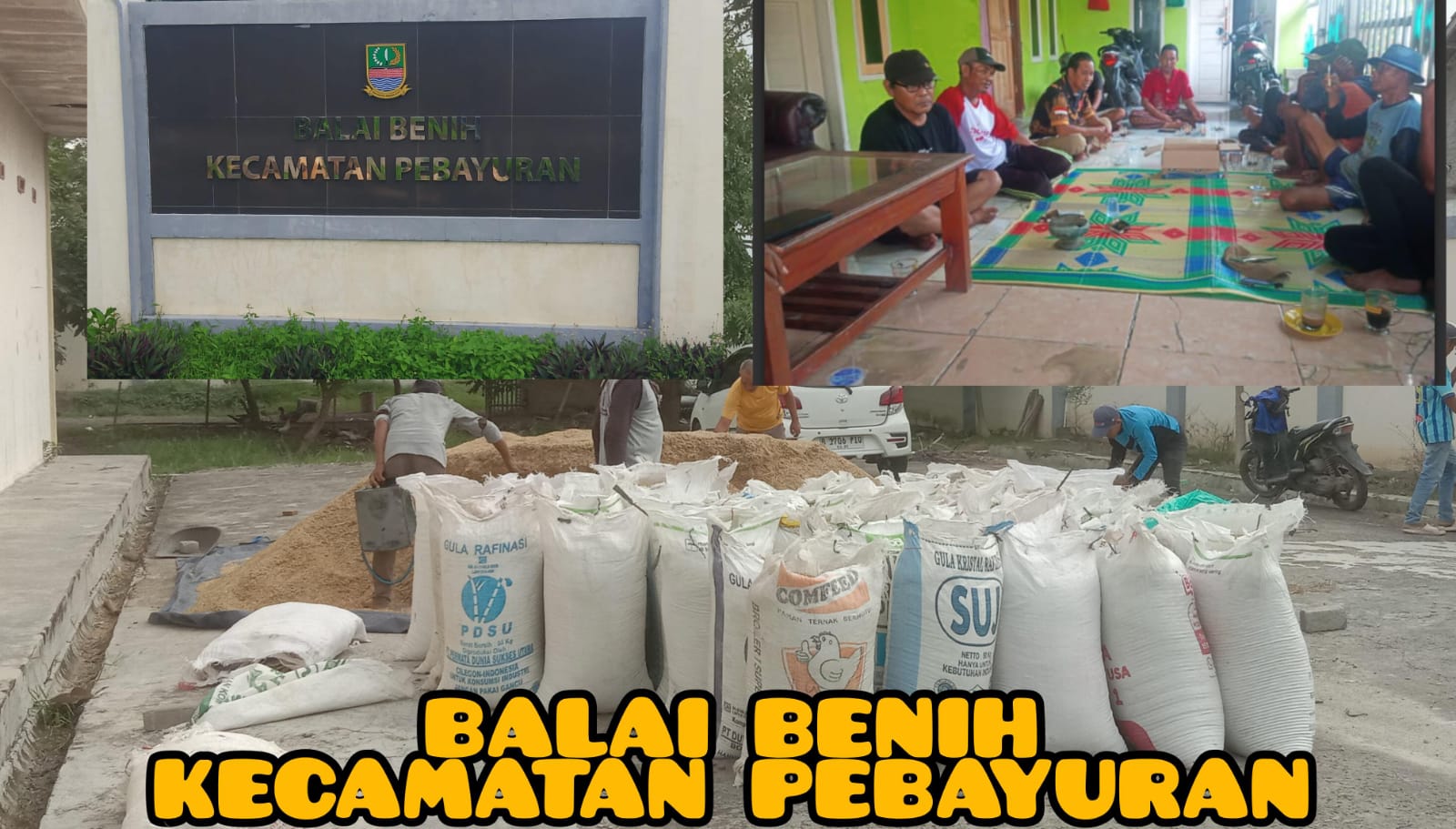 Petani Pengelola Lahan Balai  Benih Kecamatan Pebayuran,  Keluhkan Kebijakan  UPTD yang Tak Berpihak