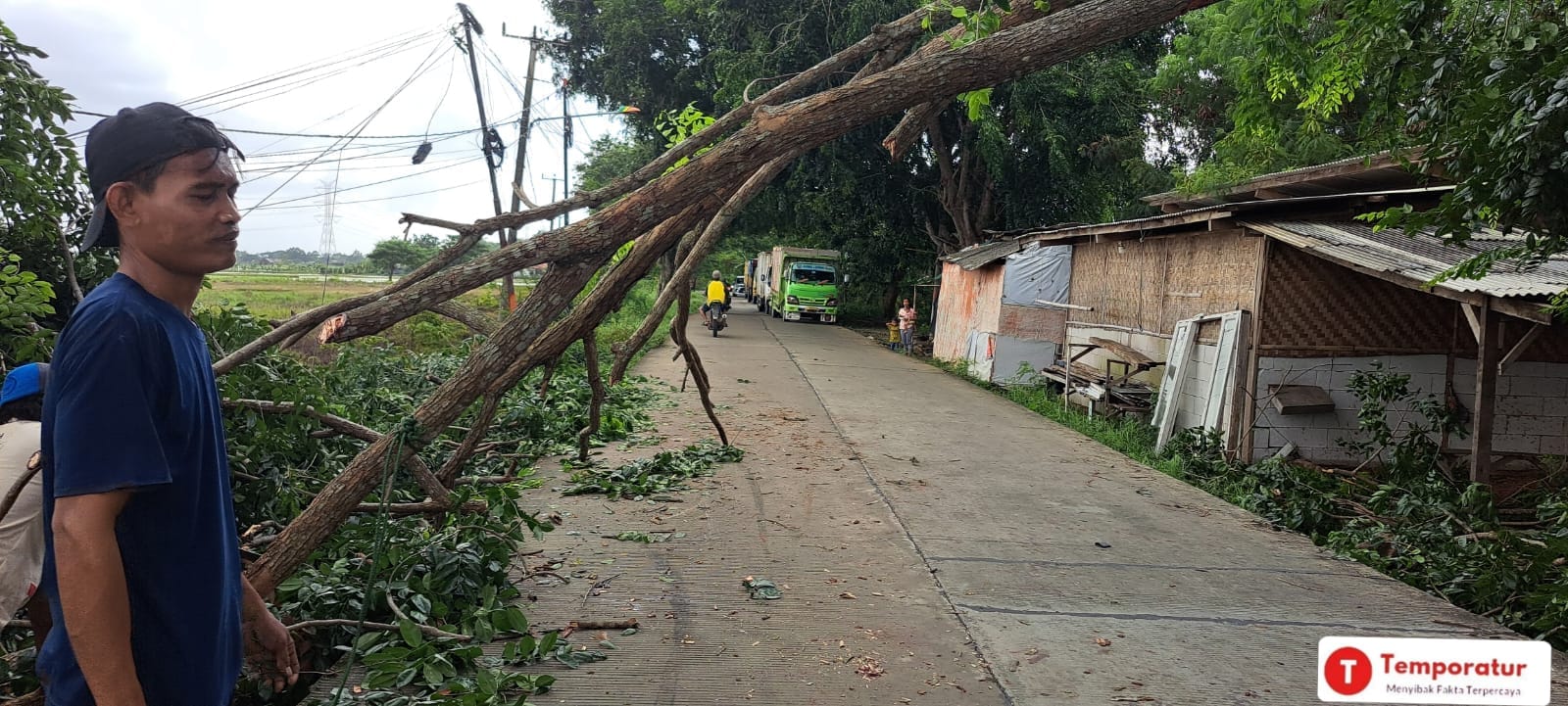 Pohon Tumbang di Jalan Raya Tambelang Membuat Mobil Truk Tidak Bisa Lewat