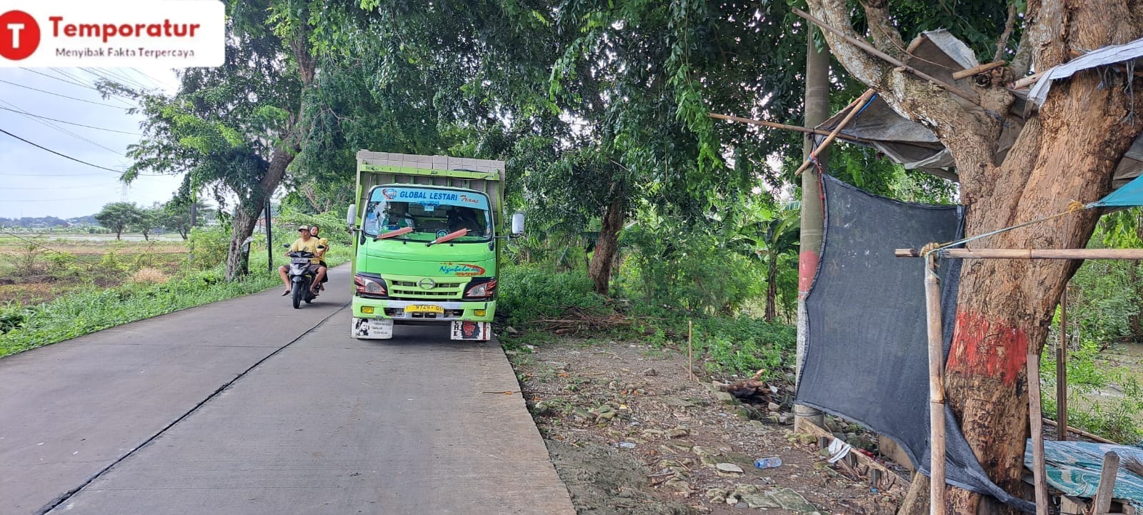 Keterangan foto :Mobil Truk tidak busa lewat akibat Pohon tumbang di jalan Raya Tambelang, Pada Jumat 31/01/2025.(ft : SS)
