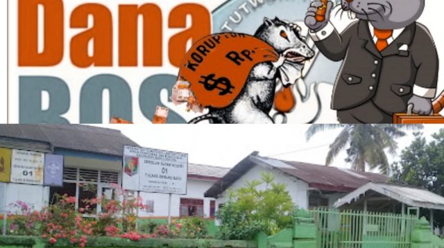 Kepala Sekolah SD Negeri 01 Tulang Bawang Diduga Selewengkan Dana BOS 259 juta