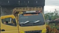 Polhut Kalbar Amankan Satu Unit Truk Pengangkut Kayu Ilegal di Kubu Raya