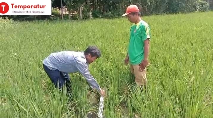Korluh Pertanian Tunjukkan Video Saluran Pipanisasi Poktan Al-Muhaimin, Ormas Laki Tuding Tak Tepat Sasaran