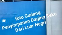 Daging Beku Ilegal Asal Malaysia Membanjiri Pontianak: Warga Desak Penindakan Tegas Negara Jagan Kalah
