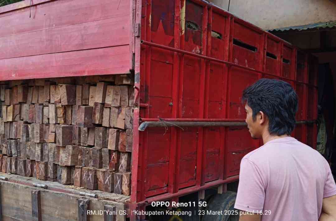 Polsek Sungai Laur Amankan Truk Bermuatan Kayu Belian di Simpang Empat Kumai