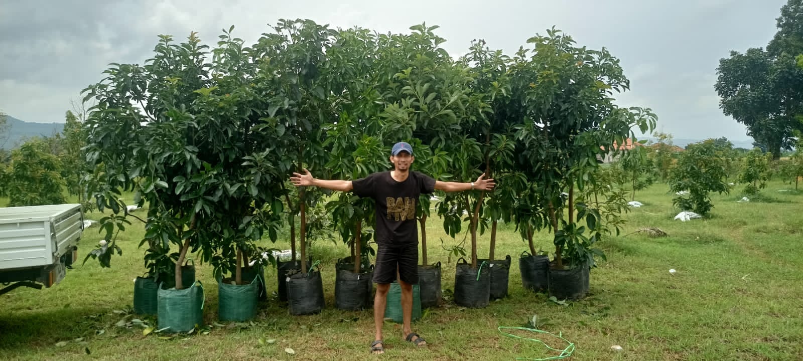 Korluh Kecamatan Saronggi Kabupaten Sumenep  himbau para petani memanfaatkan lahan kering menjadi produktif dengan menanam jenis buah-buahan