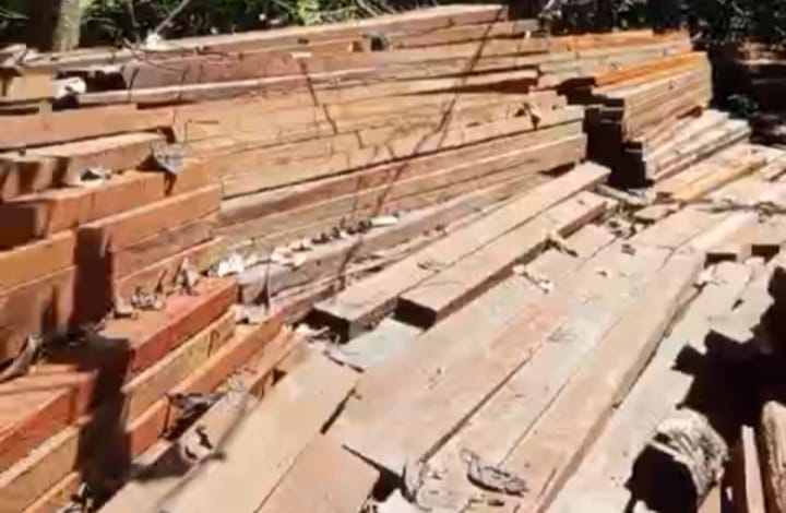 Penemuan Ribuan Batang Kayu Tidak Bertuan Menjadi Pertanyaan Publik,Mabes Polri di Minta Turun Tanggan