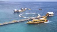 Dermaga Apung Modular: Kunci Sukses Bisnis Watersport Anda!
