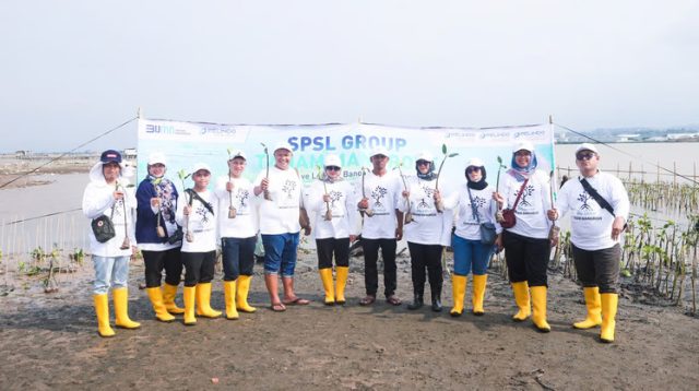 Wujudkan Dekarbonisasi, Pelindo Solusi Logistik Tanam Mangrove dan Penghijauan