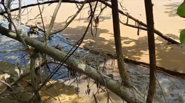 Pembuangan Limbah ke Laut Diduga Tanpa Izin, PT. DIB dan DLH Kalbar Pilih Diam