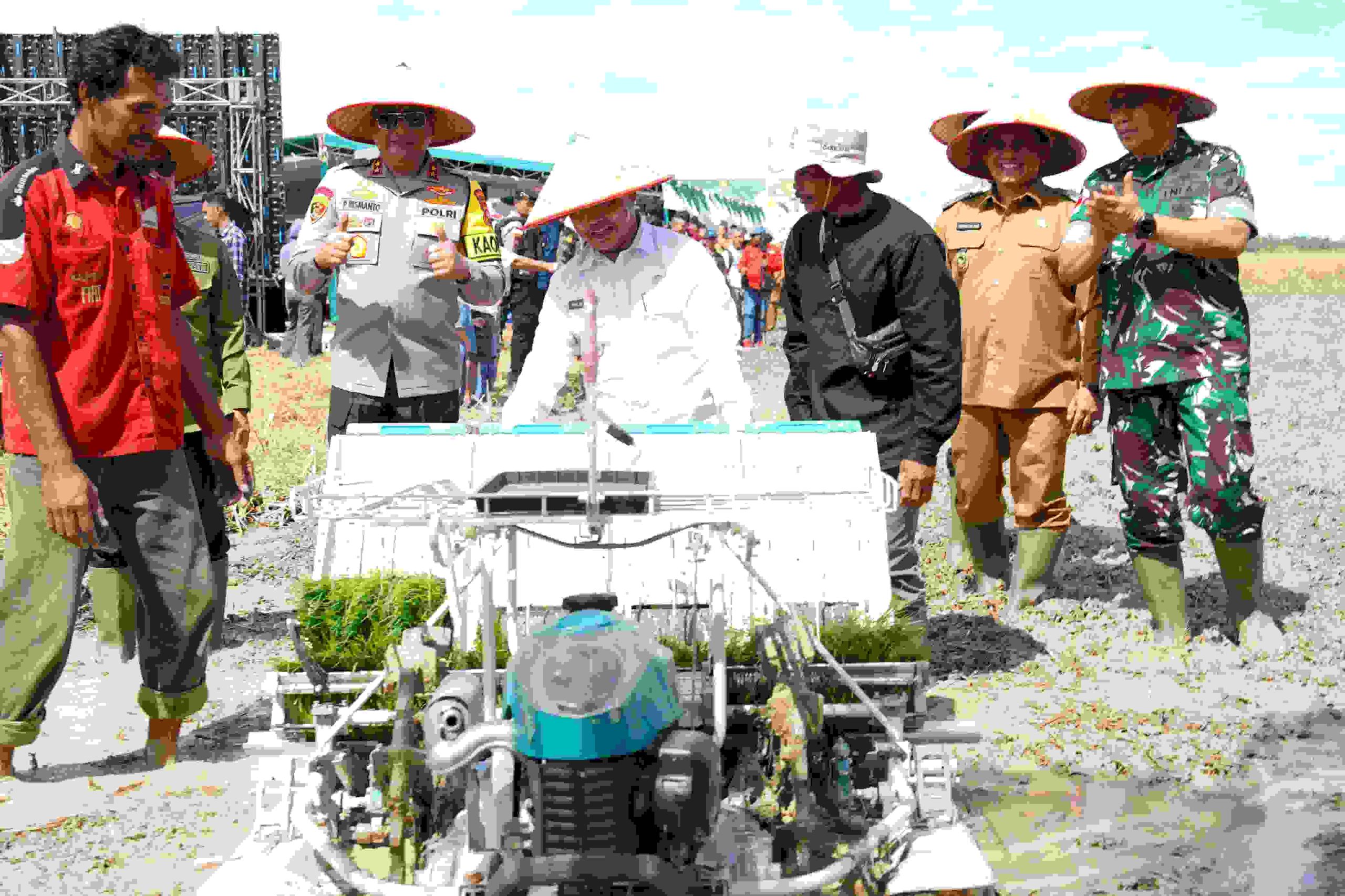 Pangdam bersama Forkopimda Kalbar Ikuti Panen Raya Padi Bersama Presiden RI