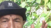 Bantuan Pemerintah Daerah Diharapkan untuk Petani Hortikultura Assilulu