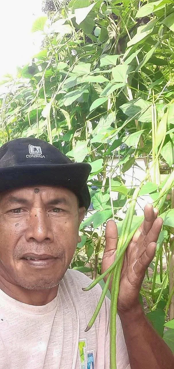 Bantuan Pemerintah Daerah Diharapkan untuk Petani Hortikultura Assilulu