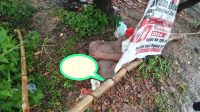 Seorang Pria Tewas Diduga Tersambar Petir di Cikarang Selatan