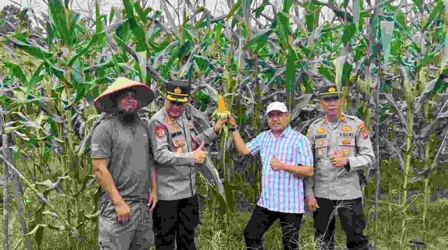 Kapolres Melawi Pantau Progres Pertumbuhan Jagung