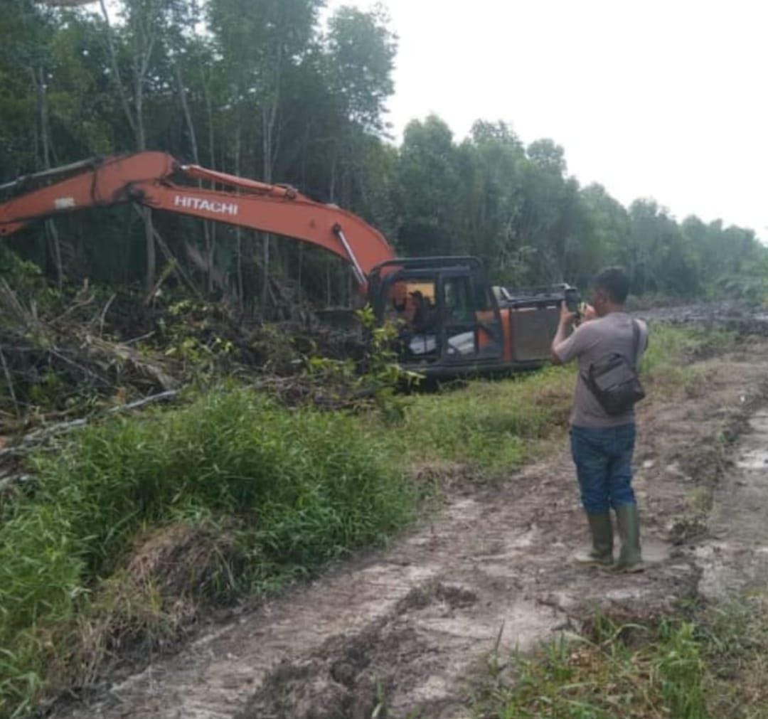 Skandal Mangrove Kubu: Oknum Kades Dituding Jual 400 Hektare ke Warga untuk Sawit