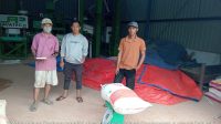Dinas Pertanian Kabupaten PALI Melalui Maklon Bulog Membeli Hasil Panen Petani Padi Dinas Pertanian Kabupaten PALI Melalui Maklon Bulog Membeli Hasil Panen Petani Padi