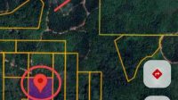 PT. Borneo Ketapang Permai Diduga Lakukan Penyerobotan Tanah Warga di Beduai