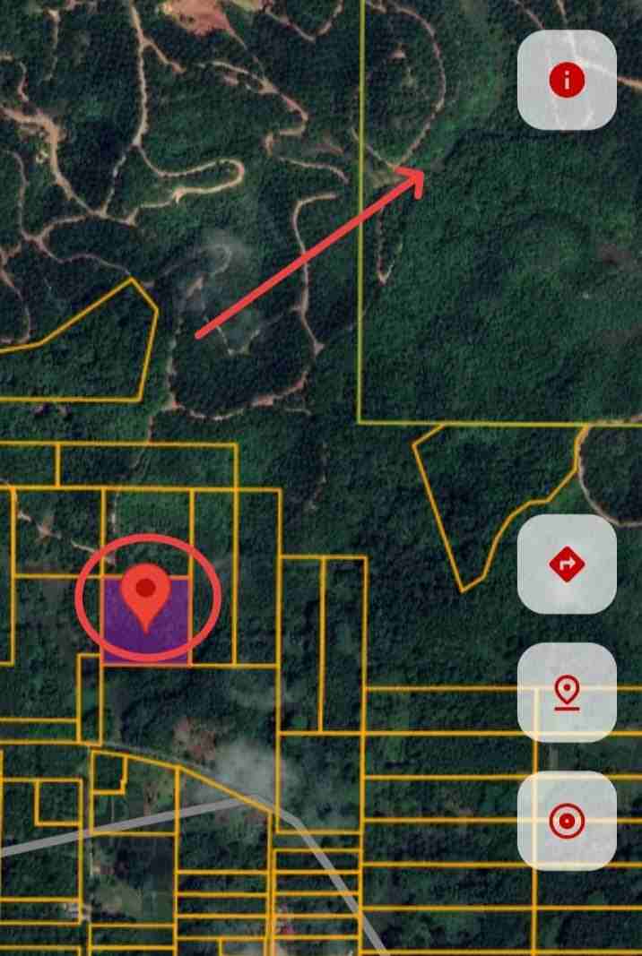 PT. Borneo Ketapang Permai Diduga Lakukan Penyerobotan Tanah Warga di Beduai