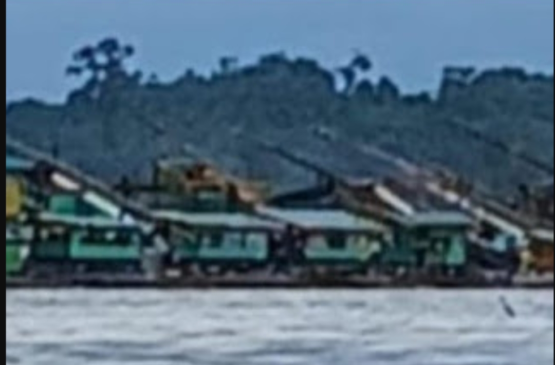 Skandal Setoran PETI Sanggau: Oknum Wartawan Dicatut, DLHK Kalbar Janji Koordinasi dengan Polda