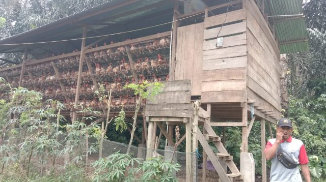 Janggal !! Kegiatan Ketahanan Pangan Desa Air Meles Bawah Diduga Ada Penyimpangan