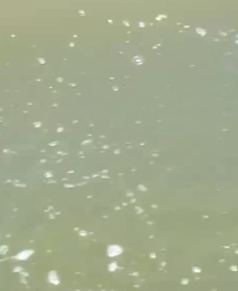 Keterangan foto : Pencemaran Laut di Kayong Utara, Kalbar