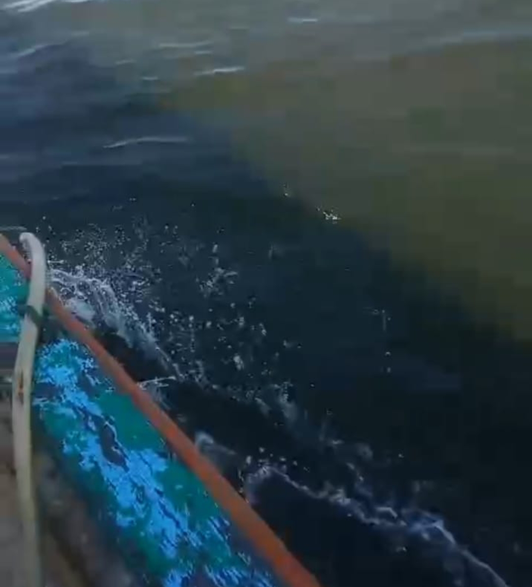 Laut Menghitam di Pulau Pelapis, Nelayan Tuding Limbah Smelter PT DIB Biang Kerok