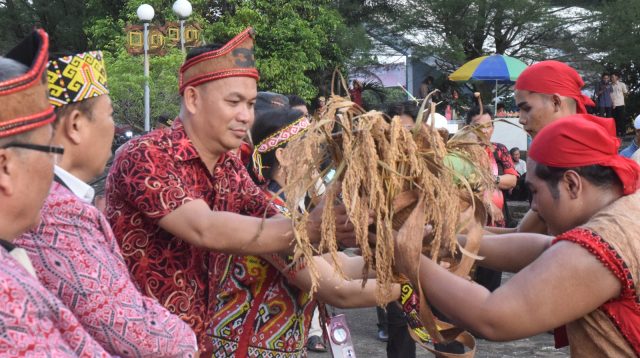 Semarak Pawai Budaya Naik Dango II, Pontianak Tampilkan Kekayaan Tradisi Dayak