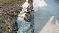 Pembangunan Jaling di Desa Pantai Harapan Jaya Memanipulasi Volume Ketebalan ? Pembangunan Jaling di Desa Pantai Harapan Jaya Memanipulasi Volume Ketebalan ?
