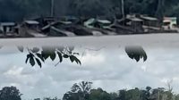 Sungai Melawi Sekarat, Tambang Ilegal Dibiarkan Sungai Melawi Sekarat, Tambang Ilegal Dibiarkan