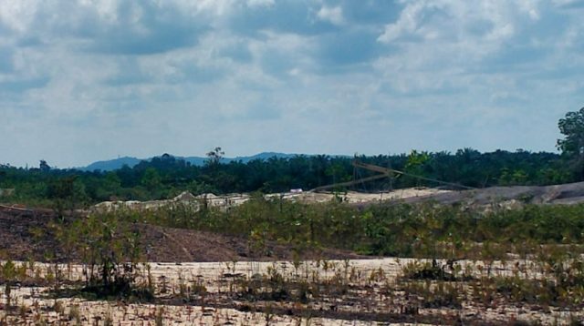 Pengepul Emas Ilegal Masih Beroperasi di Desa Peniti: Penegakan Hukum Dipertanyakan