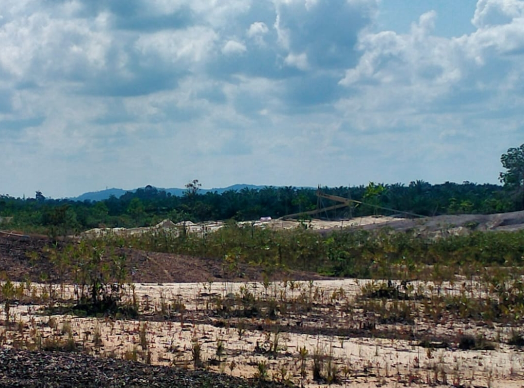 Pengepul Emas Ilegal Masih Beroperasi di Desa Peniti: Penegakan Hukum Dipertanyakan