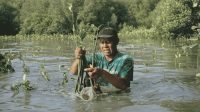 22 Mei, LindungiHutan Serukan Pentingnya Lindungi Habitat untuk Masa Depan Alam 22 Mei, LindungiHutan Serukan Pentingnya Lindungi Habitat untuk Masa Depan Alam