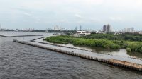 WSBP Pacu Suplai Spun Pile, Progres Proyek Pembangunan Tanggul Pengaman Pantai NCICD Paket 2 Tembus 69% WSBP Pacu Suplai Spun Pile, Progres Proyek Pembangunan Tanggul Pengaman Pantai NCICD Paket 2 Tembus 69%