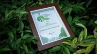 WSBP Terima Penghargaan pada The Best Corporate Emmision Reduction Transparency Awards 2025
