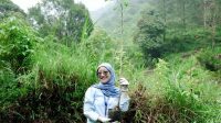 Wujud Nyata Komitmen Berkelanjutan, WSBP Kembali Tanam 318 Pohon Trembesi pada Bulan Mei 2025