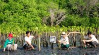 Carbon Offset Diuji Relevansinya, Ini Tanggapan Para Ahli Carbon Offset Diuji Relevansinya, Ini Tanggapan Para Ahli