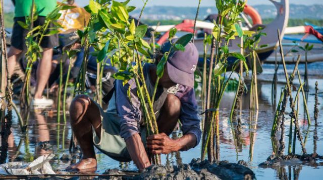 Hari Lingkungan Hidup 2025, Saat Aksi Kolektif Jadi Kunci Pulihkan Alam