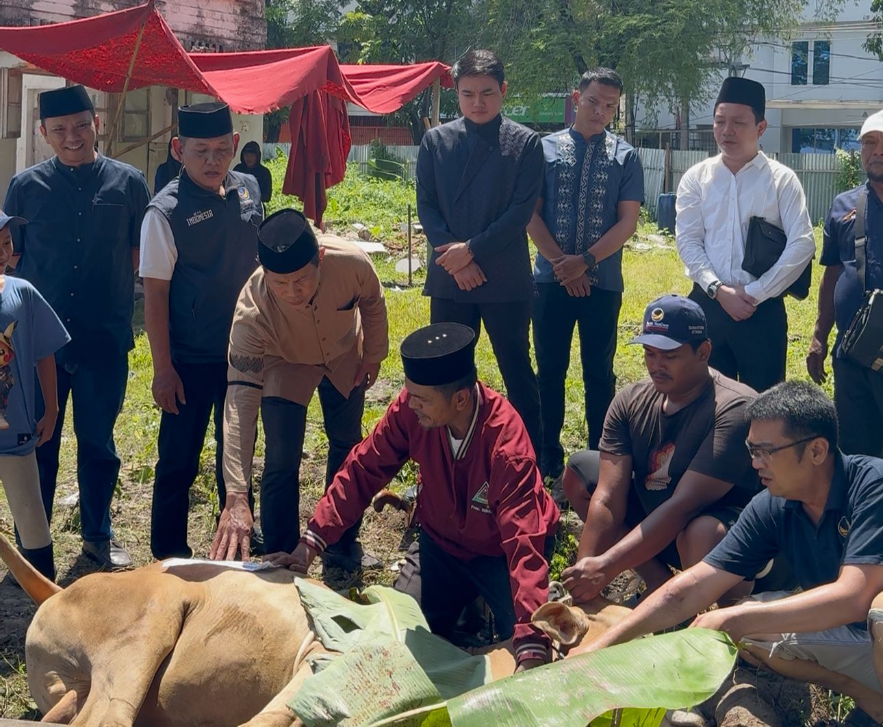 DPW Partai Nasdem Sumatra Utara Sembelih 3 Hewan Qurban