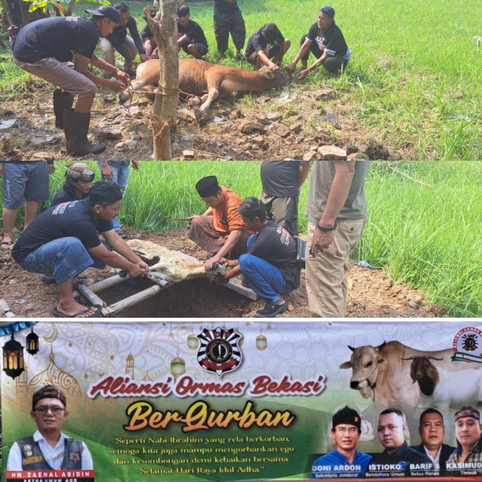 Allahuakbar,.Allahuakbar,,Allahuakbar Aliansi Ormas Bekasi Berqurban 3 Ekor Sapi dan 6 Kambing