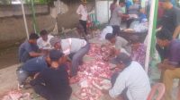Rayakan Idul Adha, Kades Kertajaya. H. Acep Sembelih Hewan Kurban 5 Ekor Sampi