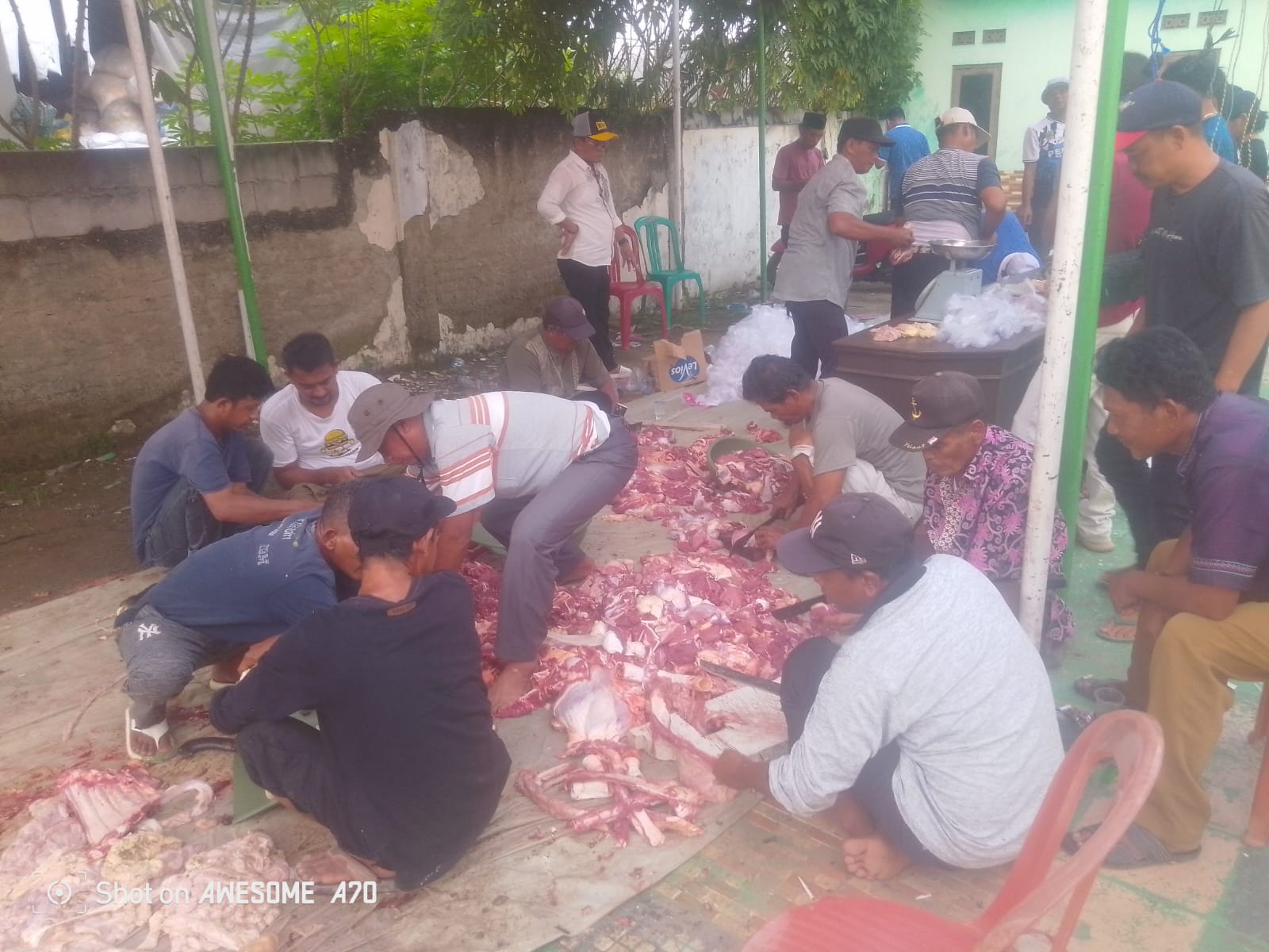 Rayakan Idul Adha, Kades Kertajaya. H. Acep Sembelih Hewan Kurban 5 Ekor Sampi