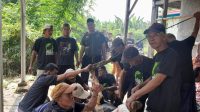 Menyambut Idul Adha 1446 H, Masjid Al- Istiqomah Rumambe I Anggadita Karawang Qurban 5 Ekor Sapi dan 11 Domba