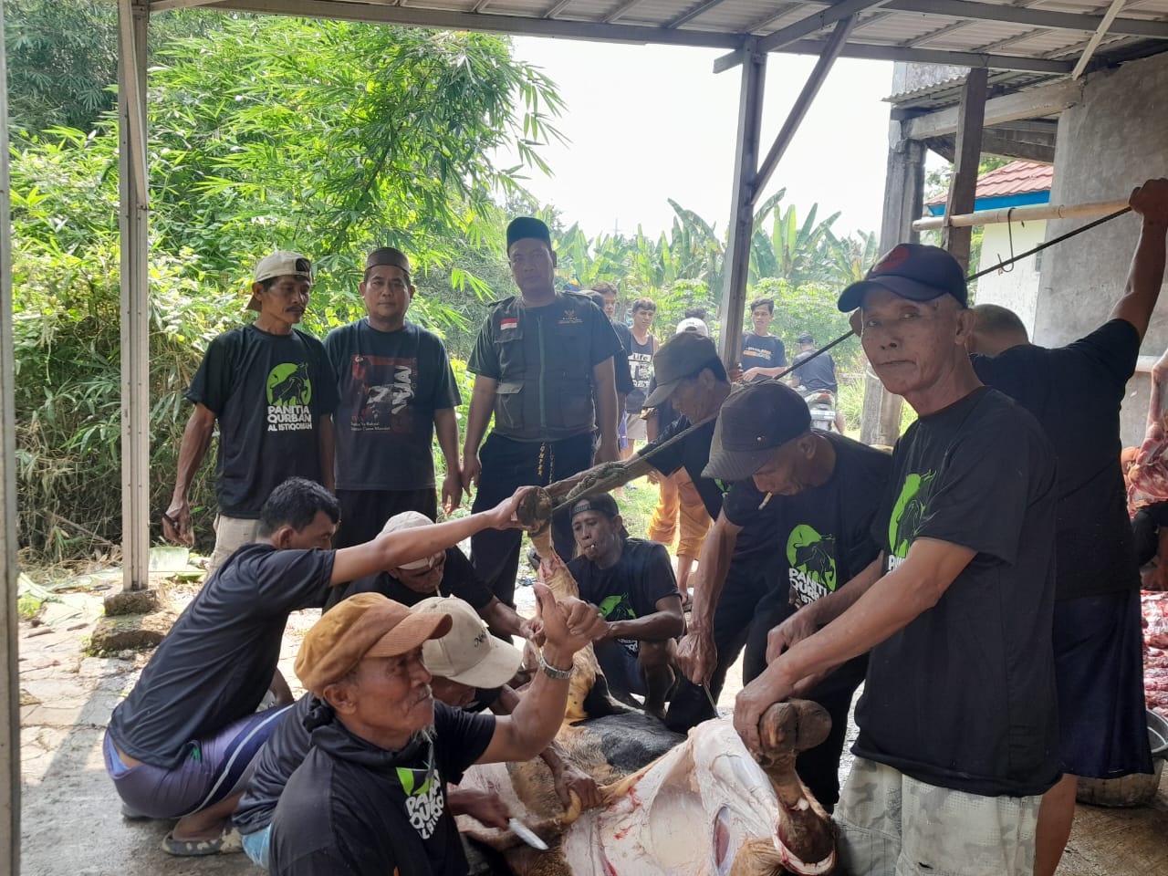Menyambut Idul Adha 1446 H, Masjid Al- Istiqomah Rumambe I Anggadita Karawang Qurban 5 Ekor Sapi dan 11 Domba