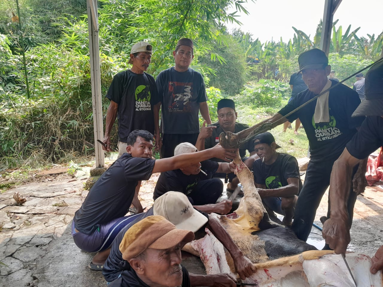 Keterangan foto : Menyambut Idul Adha 1446 H, Masjid Al- Istiqomah Rumambe I Anggadita Karawang Sembelih 5 Ekor Sapi dan 11 Domba