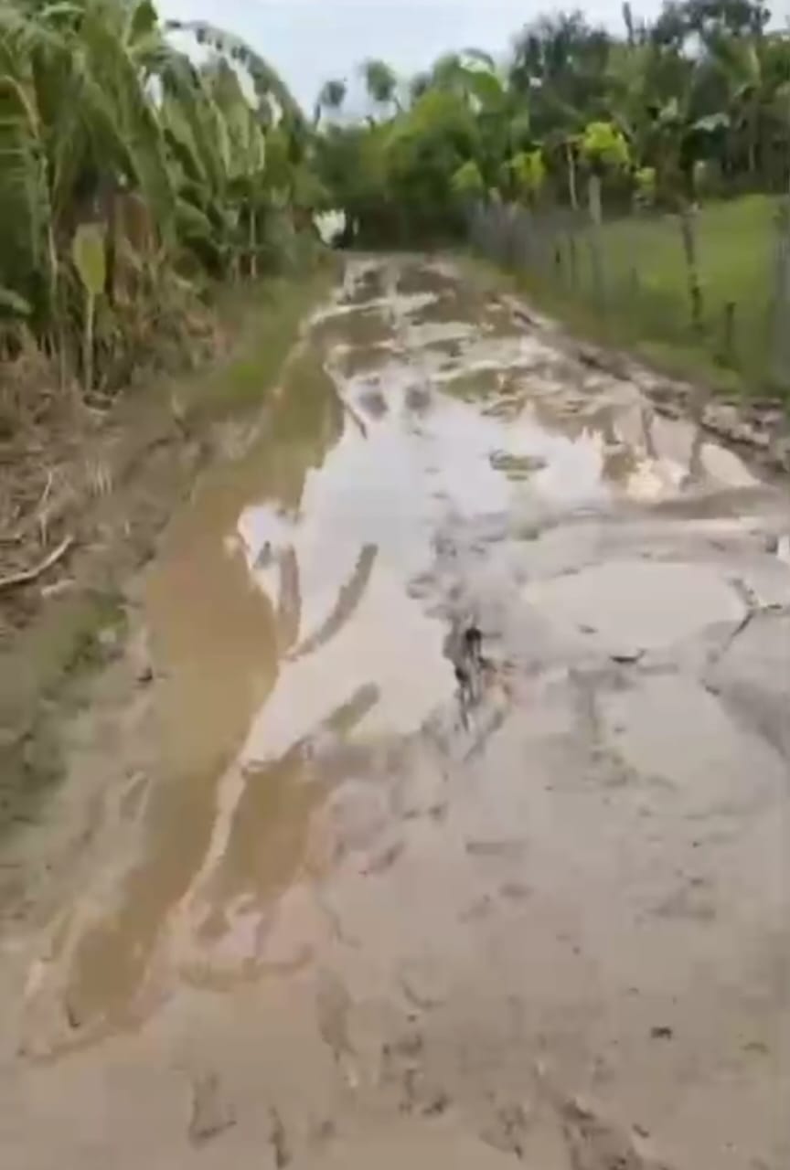 Warga Kabupaten Bekasi Merasa Disepelekan, Ruas Jalan Penting Tak Kunjung Diperbaiki