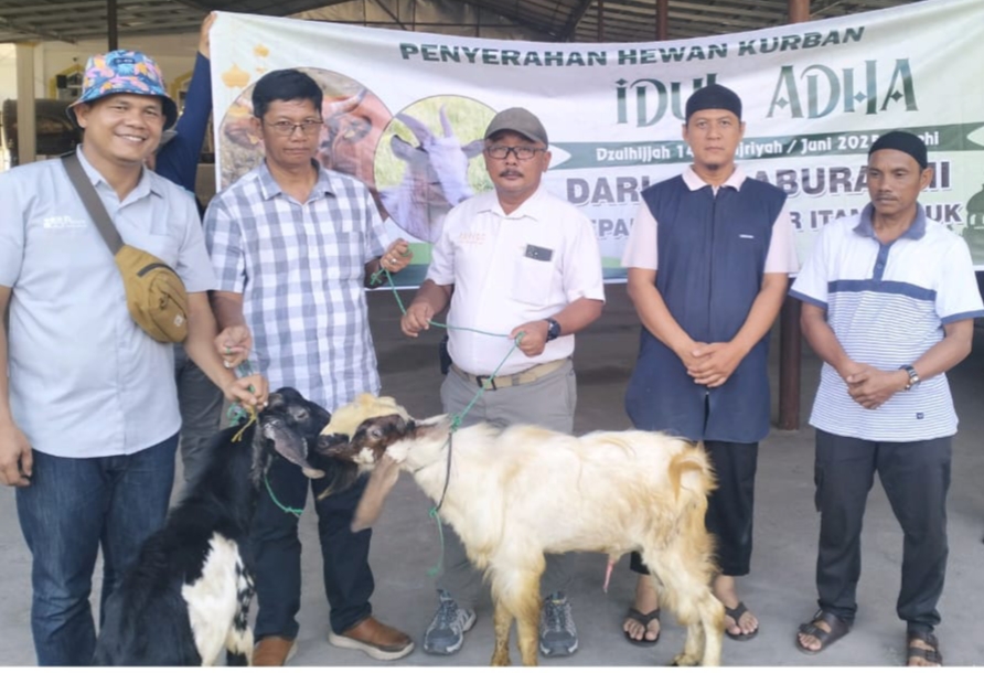 Sebagai Bentuk Kepedulian PT Aburahmi Serahkan Hewan Kurban Ke Desa Air Itam dan Desa Air Itam Timur
