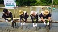 KAI Logistik Tanam 500 Mangrove: Dorong Logistik Berkelanjutan KAI Logistik Tanam 500 Mangrove: Dorong Logistik Berkelanjutan