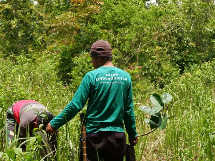 LindungiHutan Dorong Perusahaan Perluas Dampak CSR hingga Tingkat Ekosistem